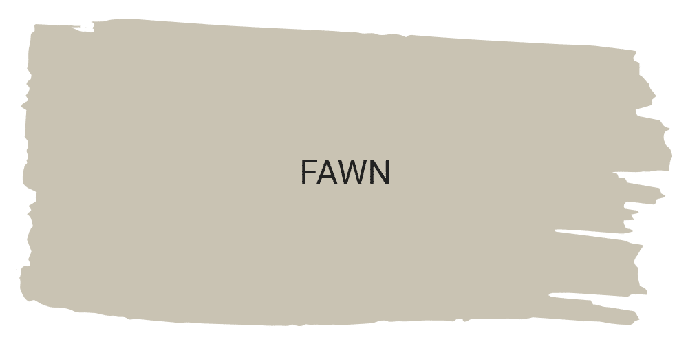 Fawn