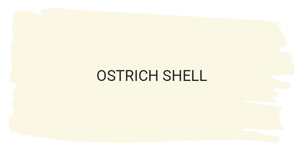 Ostrich Shell